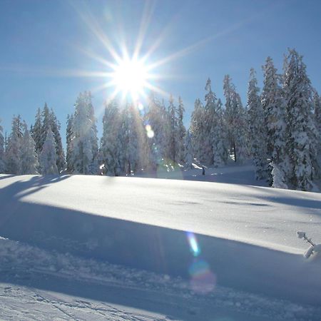 Ferienanlage Reithof Filzmoos Bagian luar foto